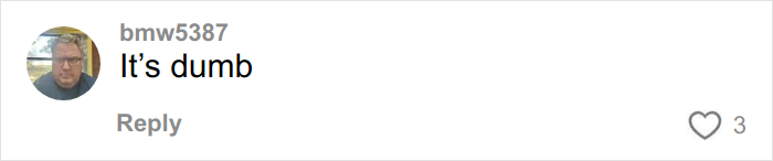 Screenshot of a social media comment with a profile picture and the overused slang phrase "It’s dumb" highlighted for 2026 banishment.