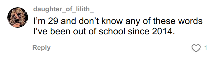 Screenshot of a social media comment from a user saying they don't know the overused slang words experts want to banish in 2026. Screenshot of a social media comment from a user saying they don't know the overused slang words experts want to banish in 2026.