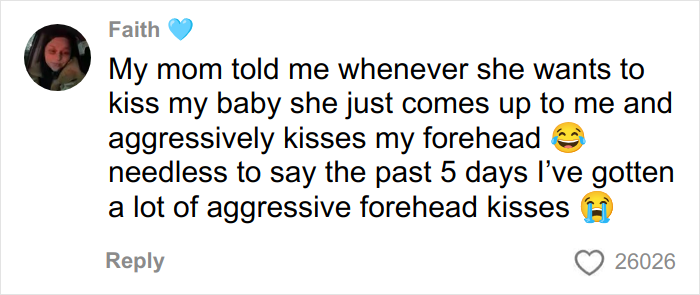 Alt text: Social media comment about a woman’s gentle reminder to grandma not to kiss her baby, sparking viral internet opinions.