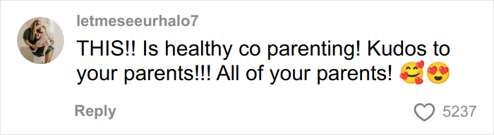 Screenshot of a social media comment praising healthy co-parenting and multiple parents, reflecting reactions to woman with 7 parents. Screenshot of a social media comment praising healthy co-parenting and multiple parents, reflecting reactions to woman with 7 parents.