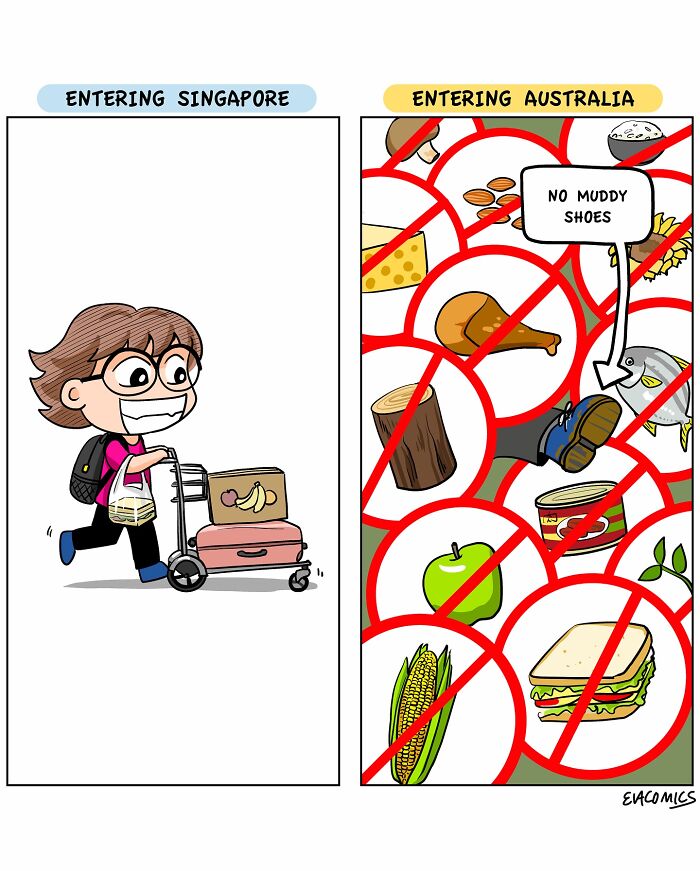 Cartoon illustrating travel culture shock with a traveler entering Singapore happily and restricted items in Australia.