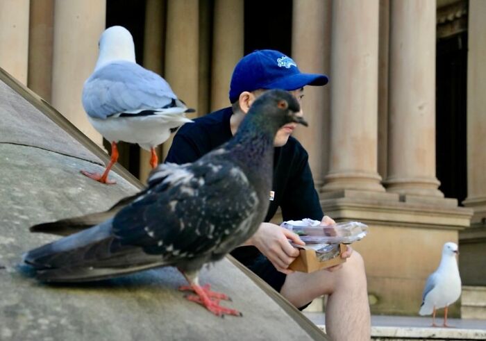 Street photographer capturing perfect coincidences with pigeons and a person sitting near pillars in an urban setting.