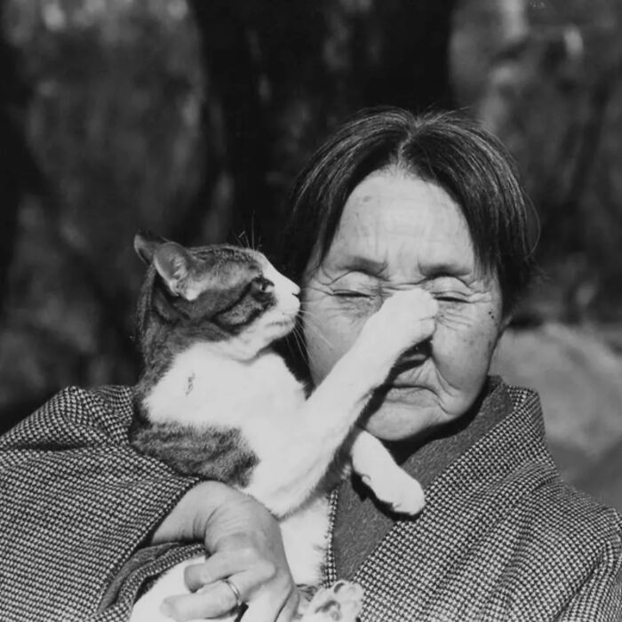 Vintage cat photo showing a cat playfully covering an elderly woman's face, capturing timeless feline charm and affection.
