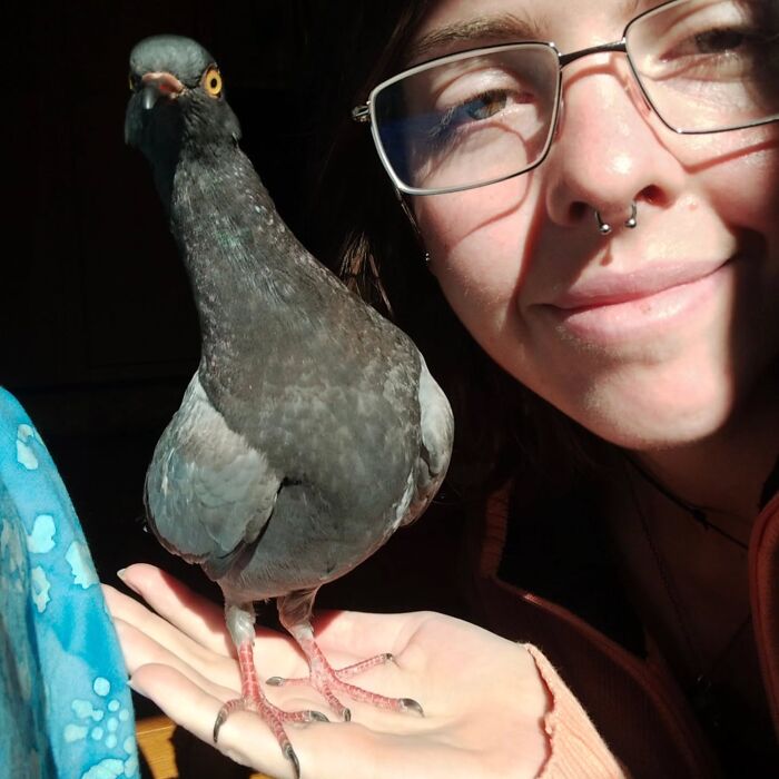 Woman holding and smiling at a half-blind pigeon she rescued, showing the close bond during daily walks.