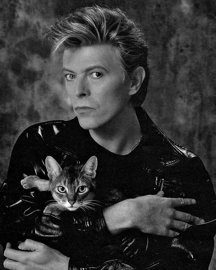 Black and white vintage photo of a person in a leather jacket holding a cat, showcasing timeless feline charm.