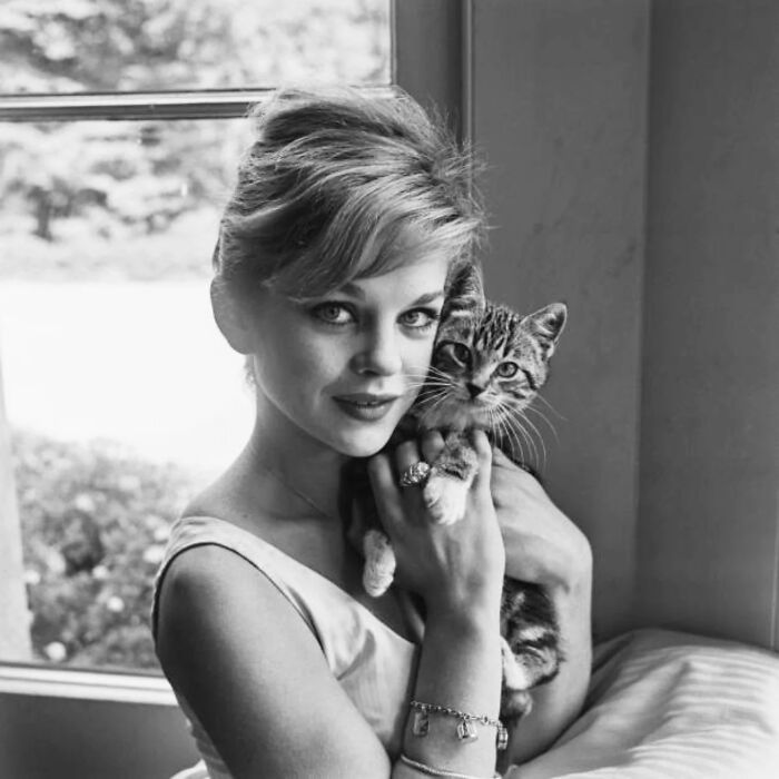 Black and white vintage photo of a woman holding a tabby cat, highlighting timeless feline charm from history.