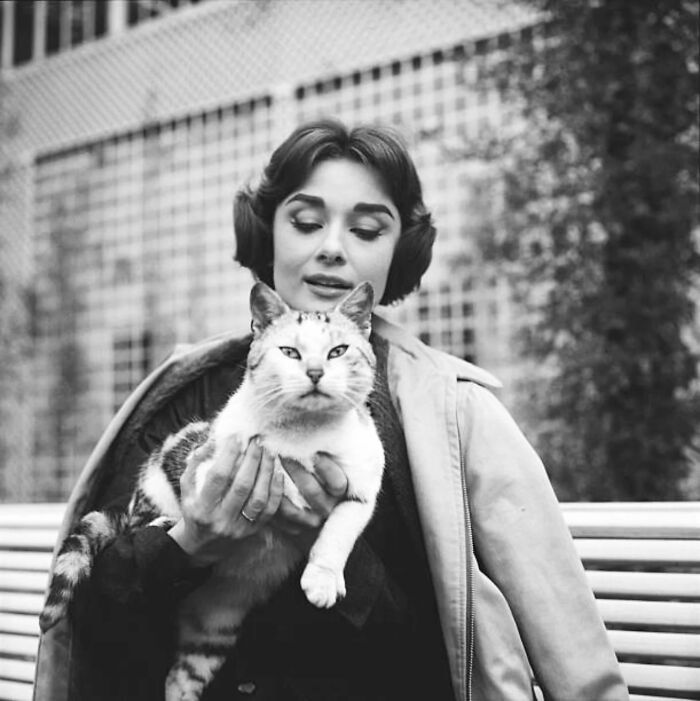 Black and white vintage photo of a woman holding a cat, showcasing timeless feline charm and classic pet moments.