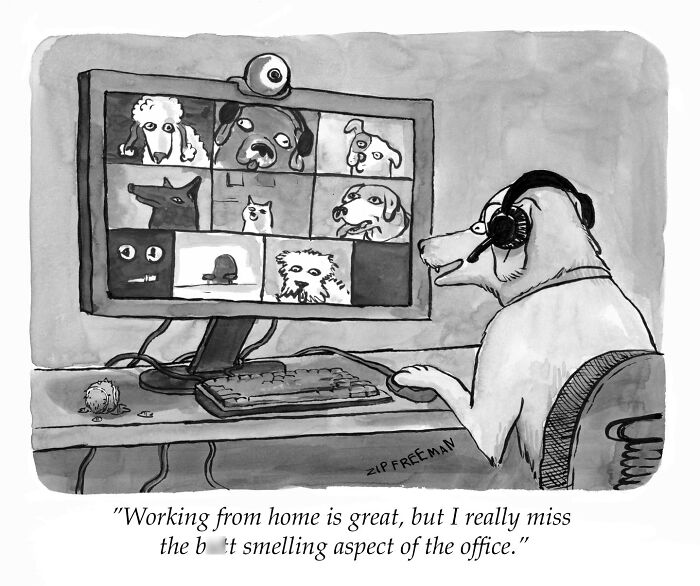 Black and white comic showing a dog video conferencing with other dogs, capturing relatable moments in modern life.