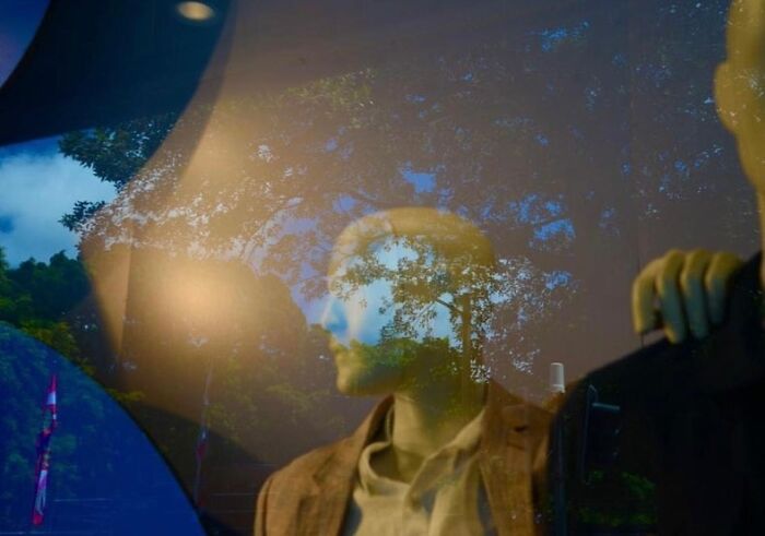 Mannequin reflected in a window with trees outside, showcasing perfect street photography capturing unique coincidences.