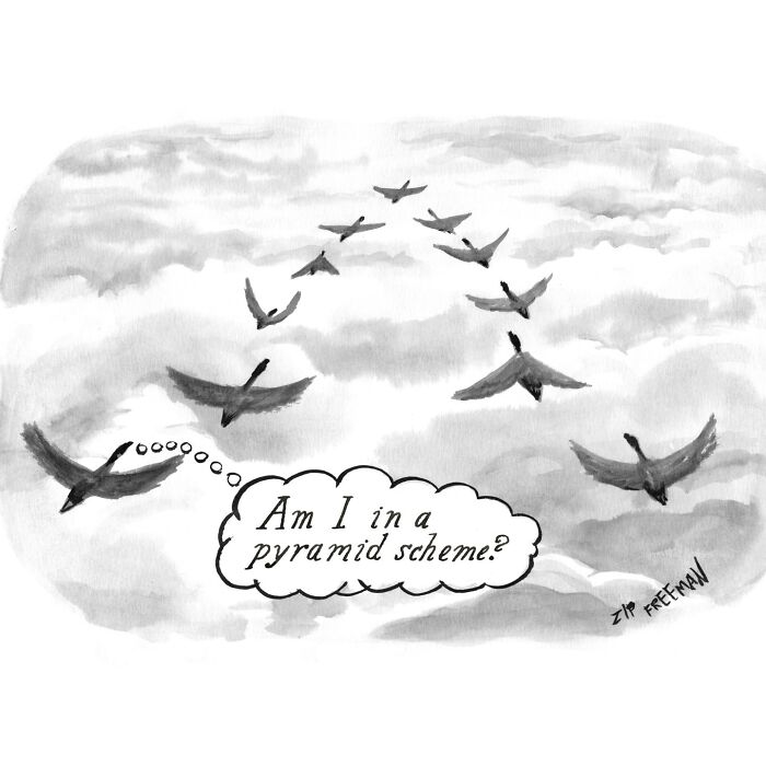 Black and white comic illustration of birds flying in a V formation with one bird questioning if it's in a pyramid scheme.