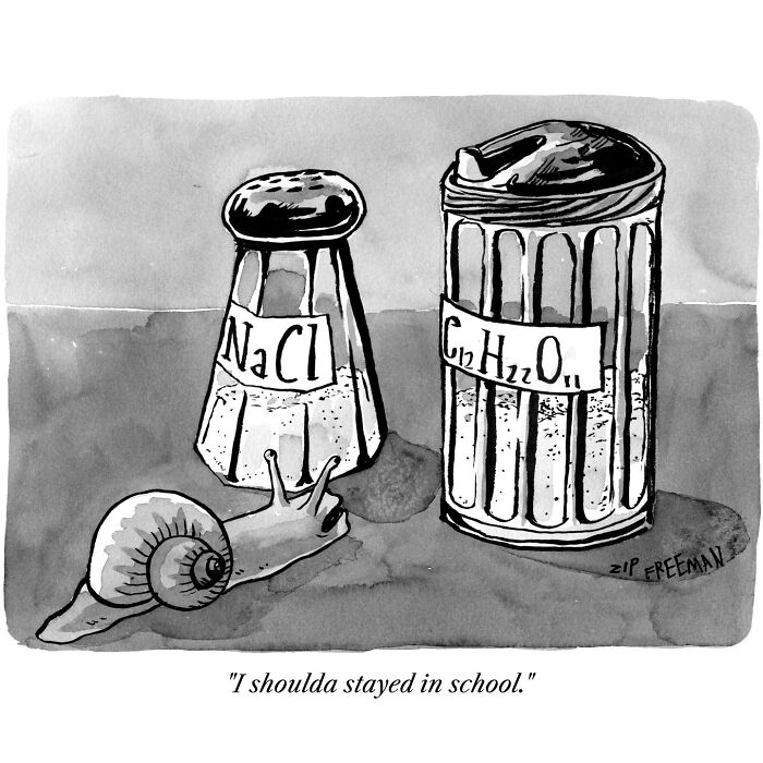 Black and white comic showing a snail confused by chemical formulas on salt and sugar jars, capturing relatable moments in modern life.