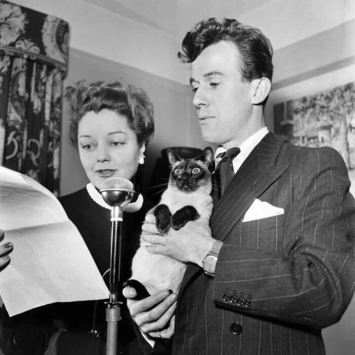 Vintage photo of a man and woman with a Siamese cat, showcasing timeless feline charm from history.