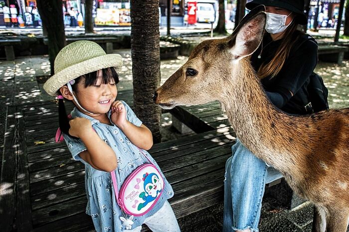 Young girl smiling as a deer approaches her in a candid street photo capturing tender moments and humanity.