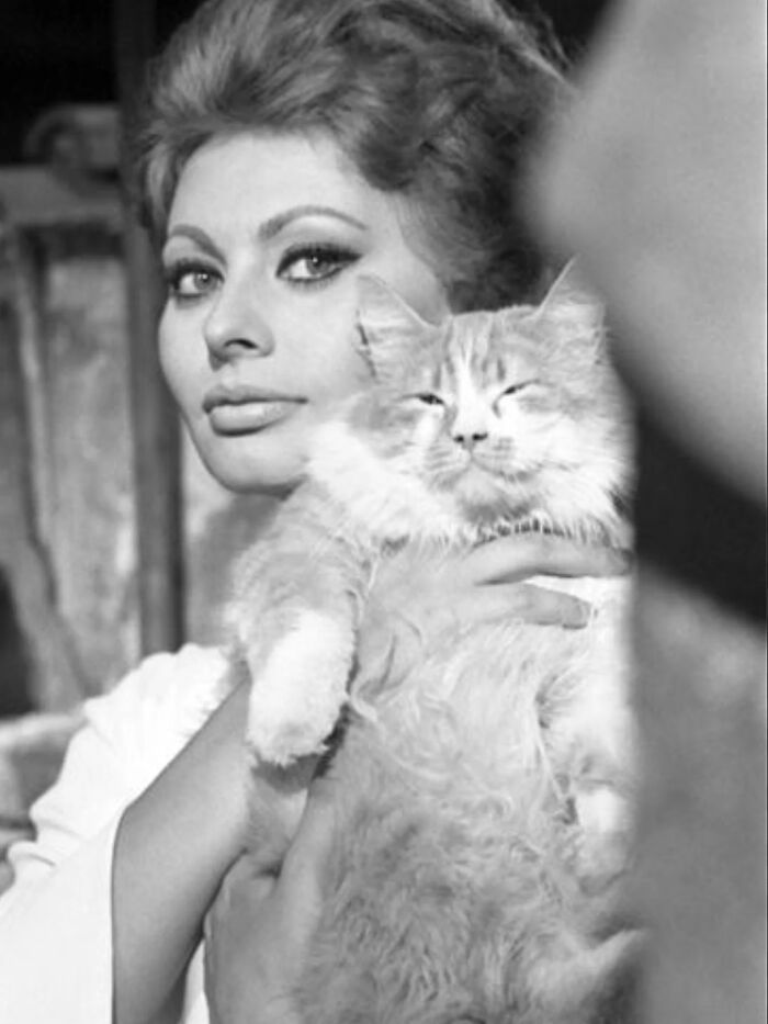 Black and white vintage photo of a woman holding a fluffy cat, showcasing timeless feline charm from history.