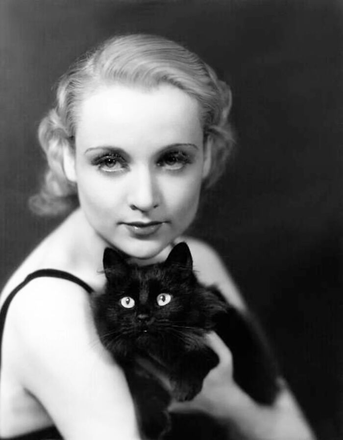 Vintage black and white photo of a woman holding a black cat showcasing timeless feline charm from history.