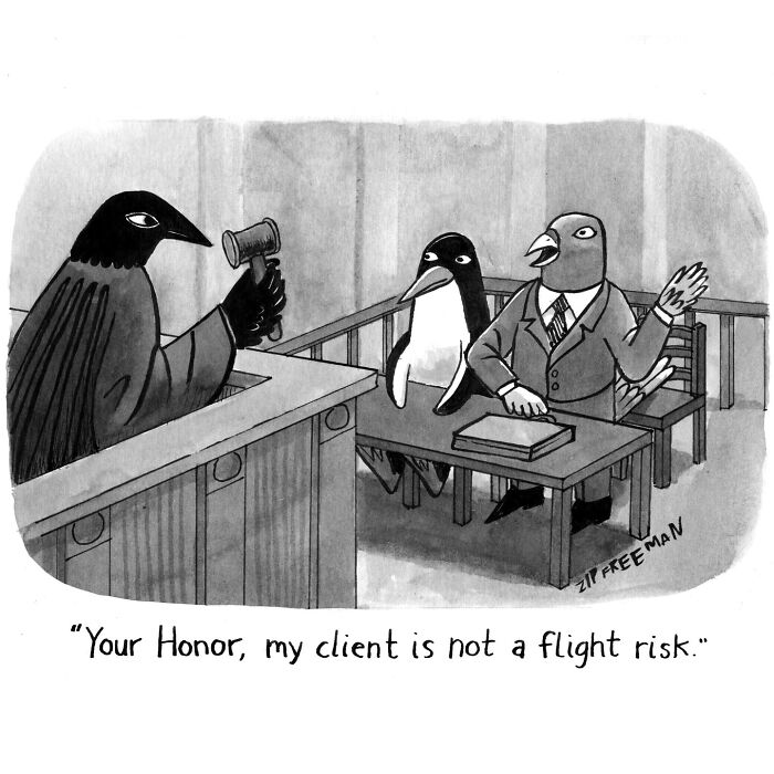 Courtroom comic with birds illustrating relatable moments in modern life, featuring a judge crow and a penguin defendant.