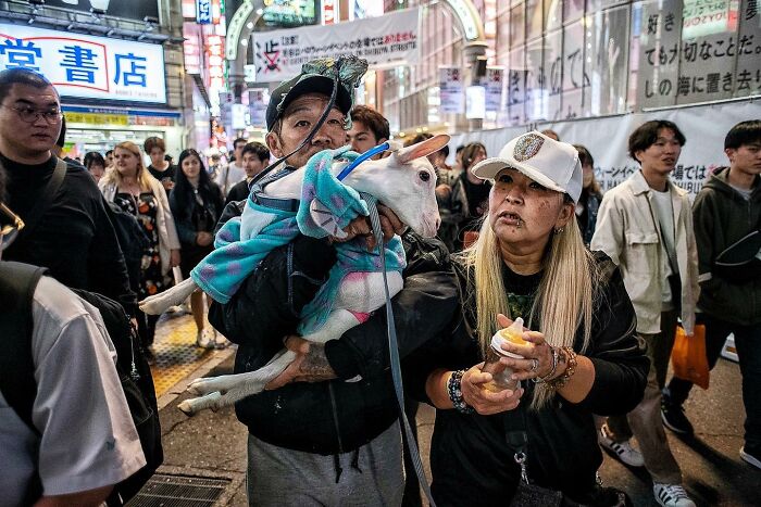 Candid street photo of a man holding a goat in costume and a woman with a hat amid a busy crowd at night.