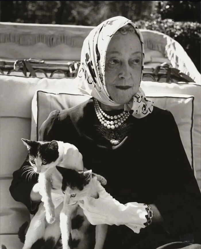 Vintage black and white photo of a woman holding two cats, showcasing timeless feline charm and classic pet companionship.
