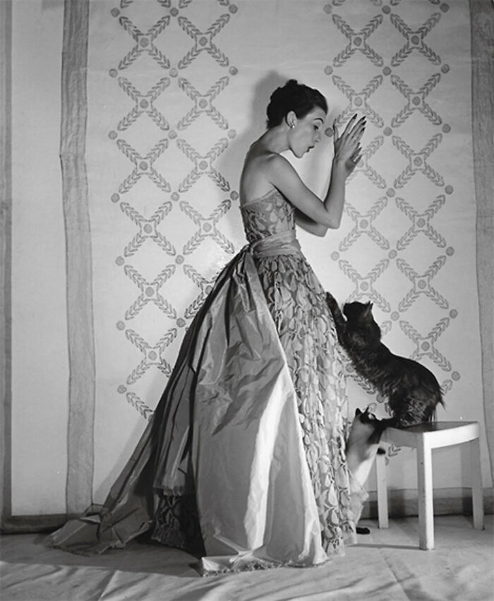 Woman in a vintage gown playing with two cats, showcasing timeless feline charm in a classic black and white photo.