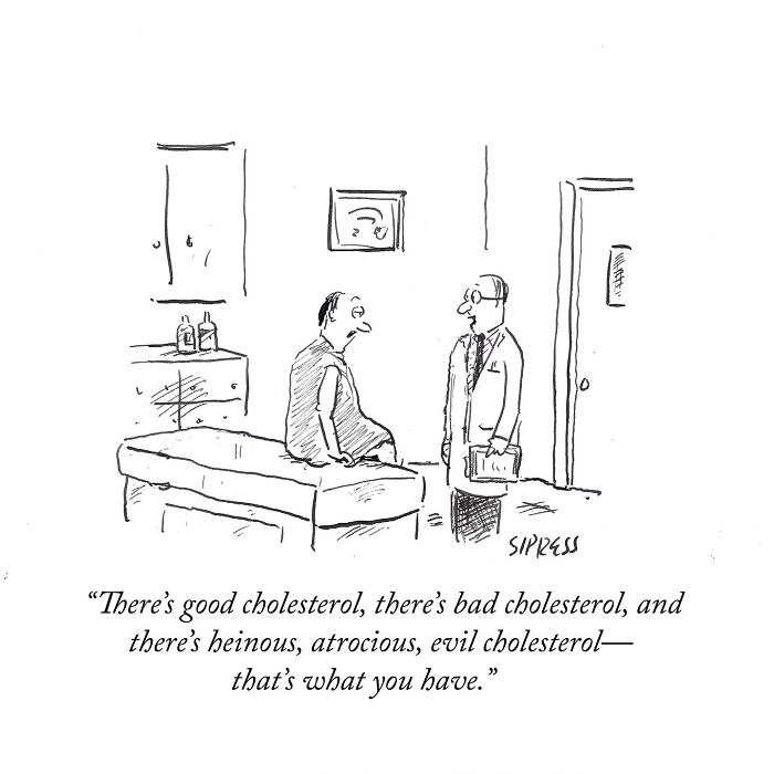 New Yorker cartoon by David Sipress showing a doctor explaining different types of cholesterol to a patient in an exam room.