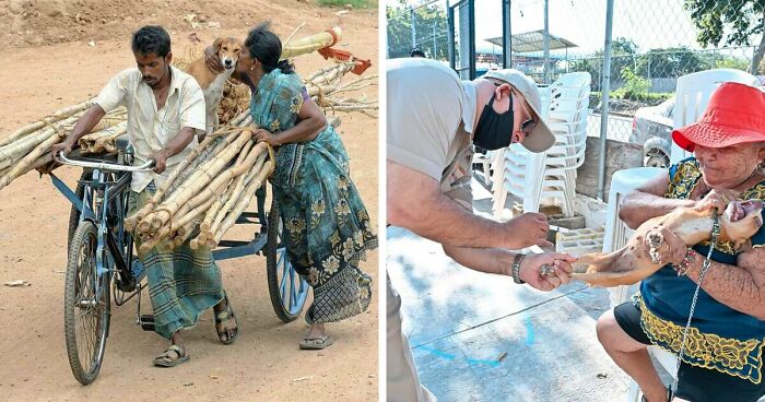 40 Hilarious Moments Caught On Camera, As Shared By “Important Animal Images” (New Pics)