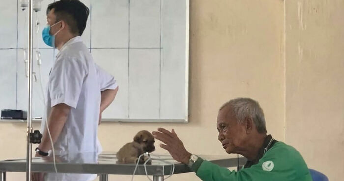 40 Hilarious Moments Caught On Camera, As Shared By “Important Animal Images” (New Pics)