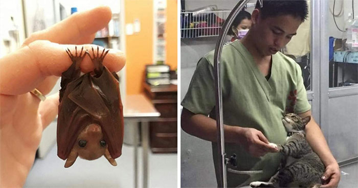 47 Times Humans And Animals Formed The Most Unexpectedly Beautiful Bonds (New Pics)