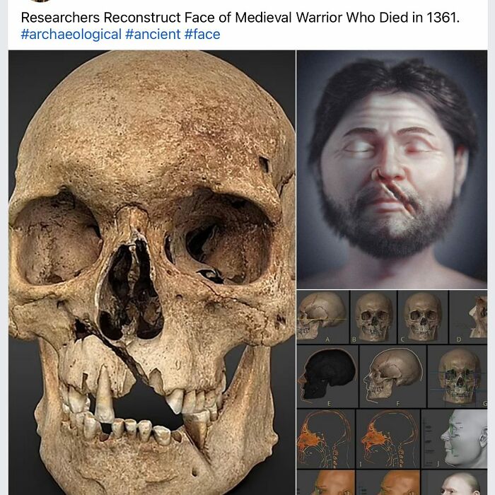 Medieval warrior skull and facial reconstruction representing the sad, beautiful, and horrific history of humanity.