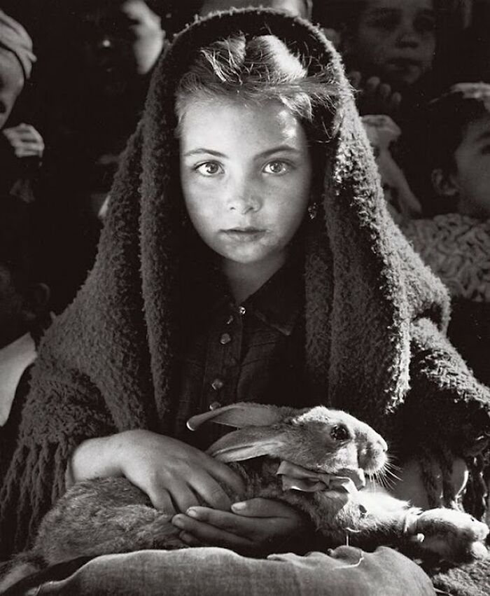 Young girl wrapped in a shawl holding a rabbit, a powerful photograph reflecting the sad, beautiful history of humanity.
