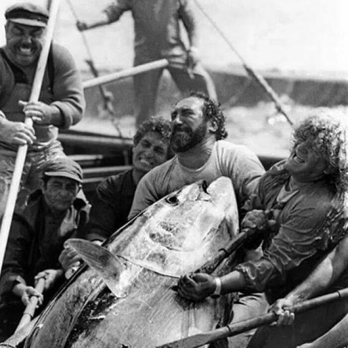 Fishermen struggling to pull a giant tuna onboard, a powerful photograph capturing the history of humanity and nature's challenges.
