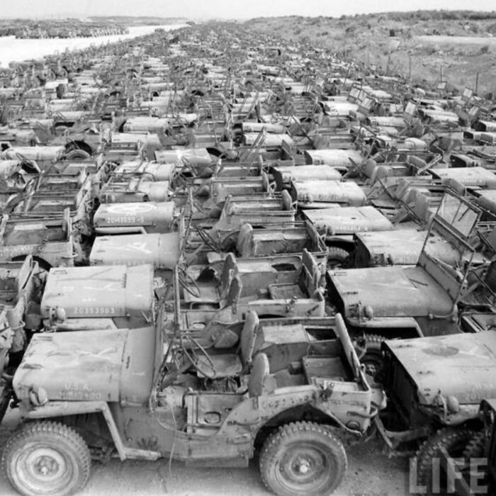 Rows of abandoned military jeeps showing the sad, beautiful, and sometimes horrific history of humanity.