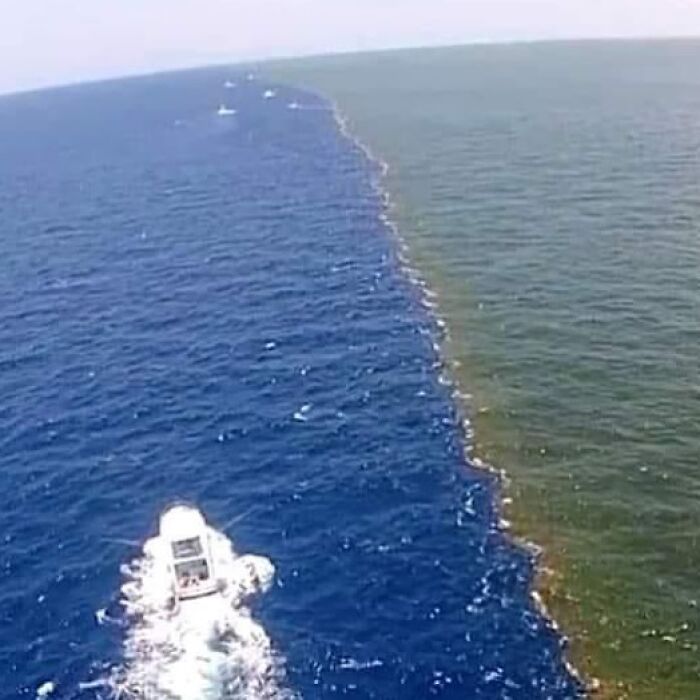 A boat navigating a stark divide between two distinctly colored ocean waters in a photograph showing history of humanity.