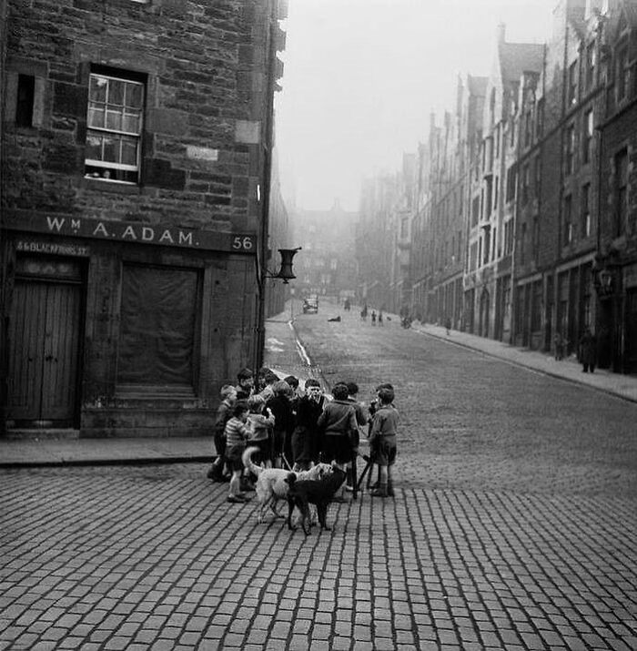 Group of children and dogs playing on a cobblestone street in a historic urban setting showing humanity's past.