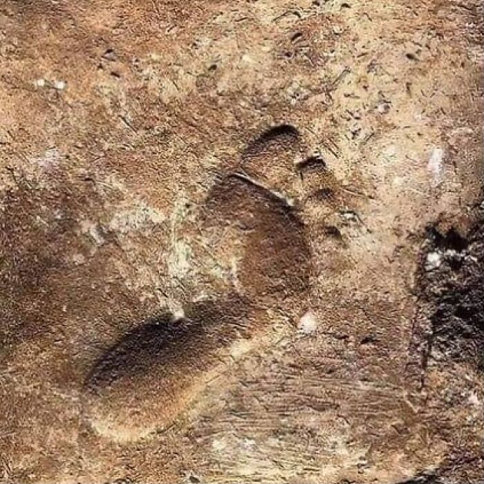 Ancient human footprint fossil embedded in rock, illustrating the profound history of humanity through photographs.