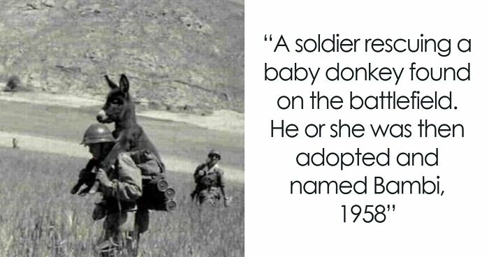 113 Photographs That Show The Sad, Beautiful, And Sometimes Horrific History Of Humanity