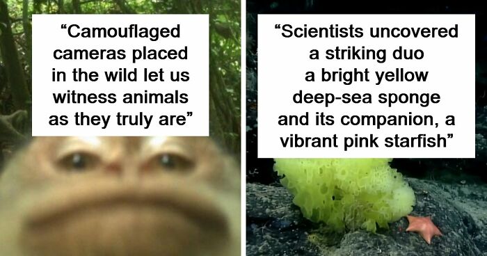 83 Photos Of Cute Animals To Instantly Melt Your Day’s Stress And Anxiety