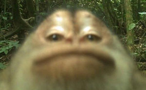 83 Times Animals Showed Off Their Charm And Brightened People’s Days