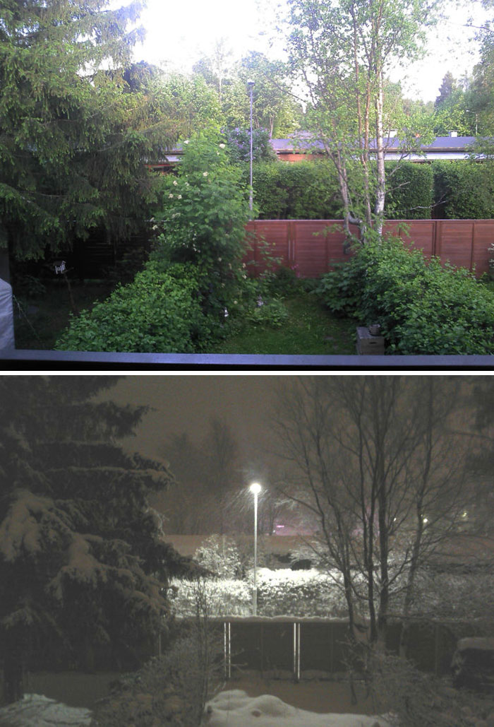 Dramatic before and after pics of a backyard showing lush greenery in summer and snow-covered trees in winter at night.