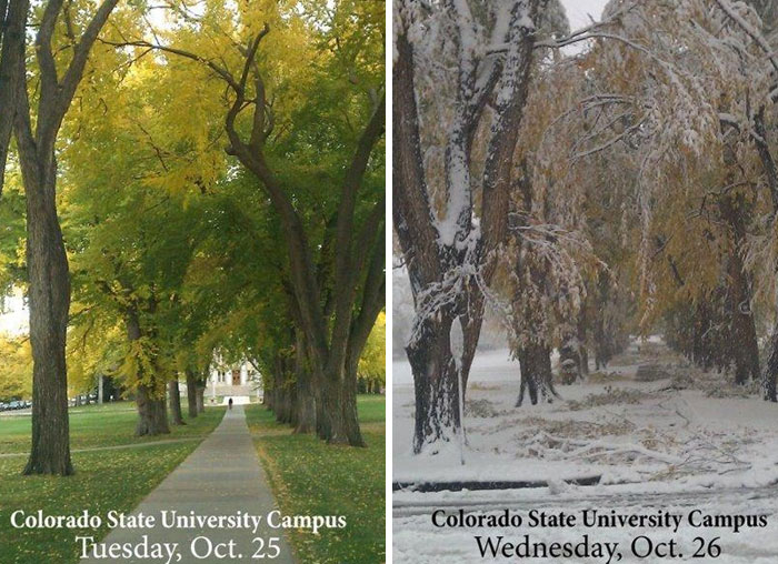 Side-by-side dramatic before and after pics of Colorado State University Campus showing fall and snowy winter scenes.