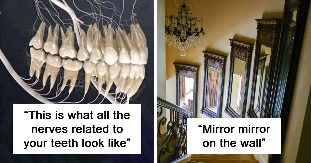 “Interesting But Creepy”: 30 Photos That Might Fascinate And Disturb You (New Pics)