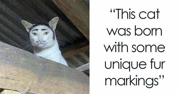 94 Random Facts That Nobody Really Asked For, But They Are Still Fun To Know