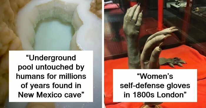 94 Random Facts That Nobody Really Asked For, But They Are Still Fun To Know