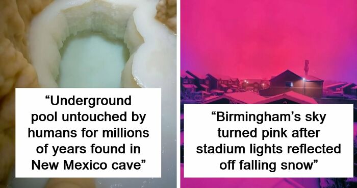 94 Random Facts That Nobody Really Asked For, But They Are Still Fun To Know