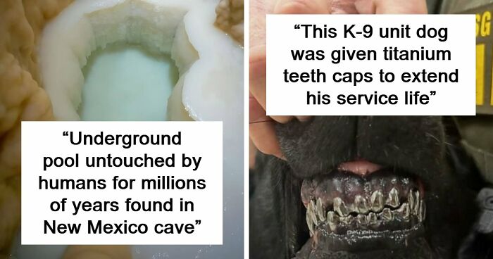 94 Random Facts That Nobody Really Asked For, But They Are Still Fun To Know