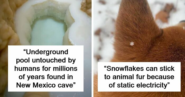 94 Random Facts That Nobody Really Asked For, But They Are Still Fun To Know
