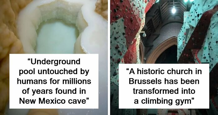 94 Random Facts That Nobody Really Asked For, But They Are Still Fun To Know