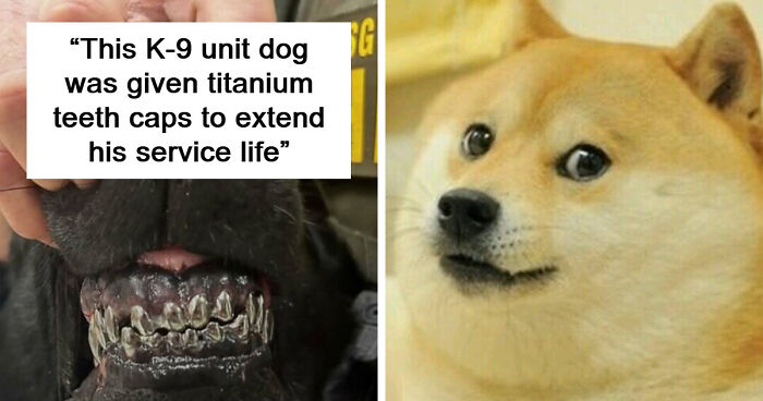 94 Random Facts That Nobody Really Asked For, But They Are Still Fun To Know