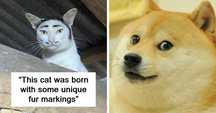 94 Random Facts That Nobody Really Asked For, But They Are Still Fun To Know