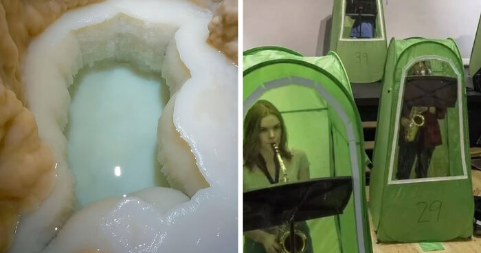 94 Random Facts That Have No Business Being This Interesting