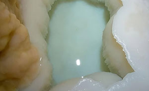 94 Random Facts That Nobody Really Asked For, But They Are Still Fun To Know